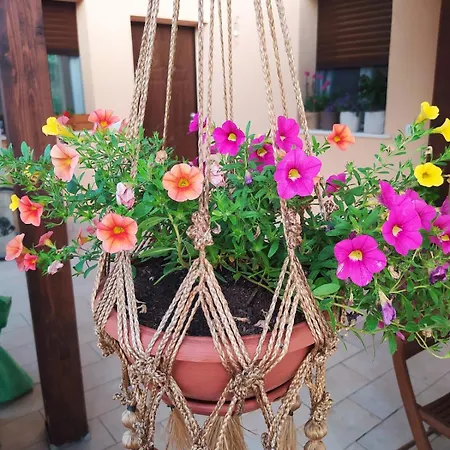 Apartamento Casa Pila *