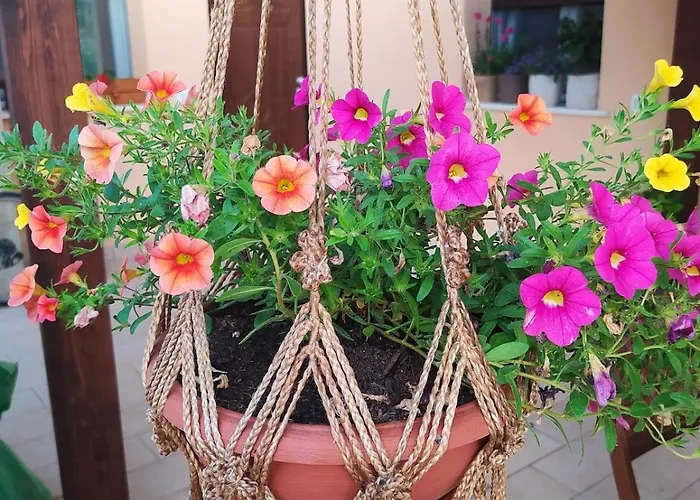 Апартаменты Casa Pila *